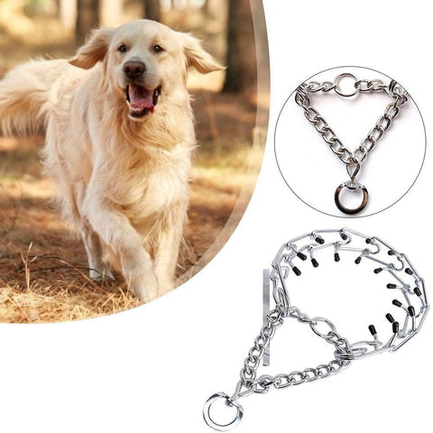 Dog Choke Collar - Golden Buy